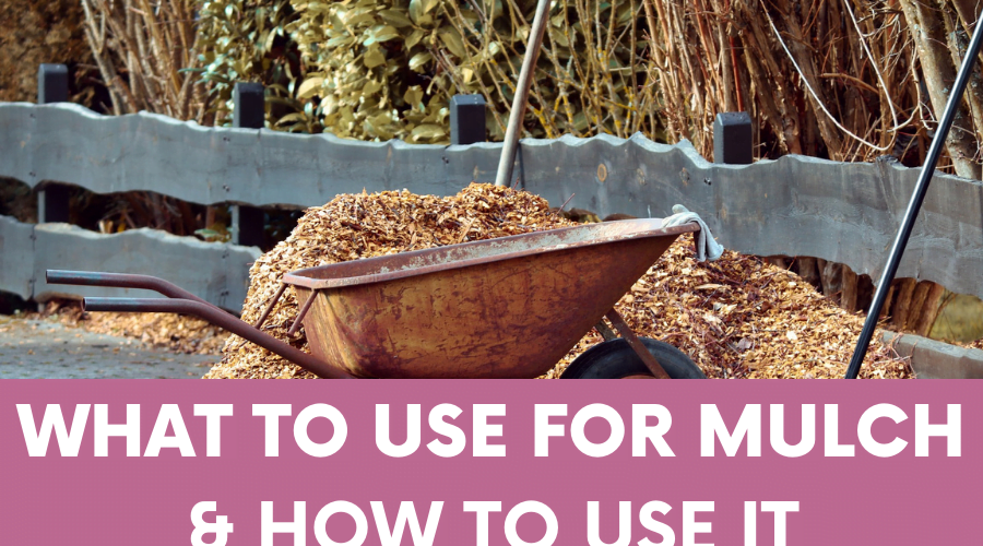 What to use for Mulch, and how to use it