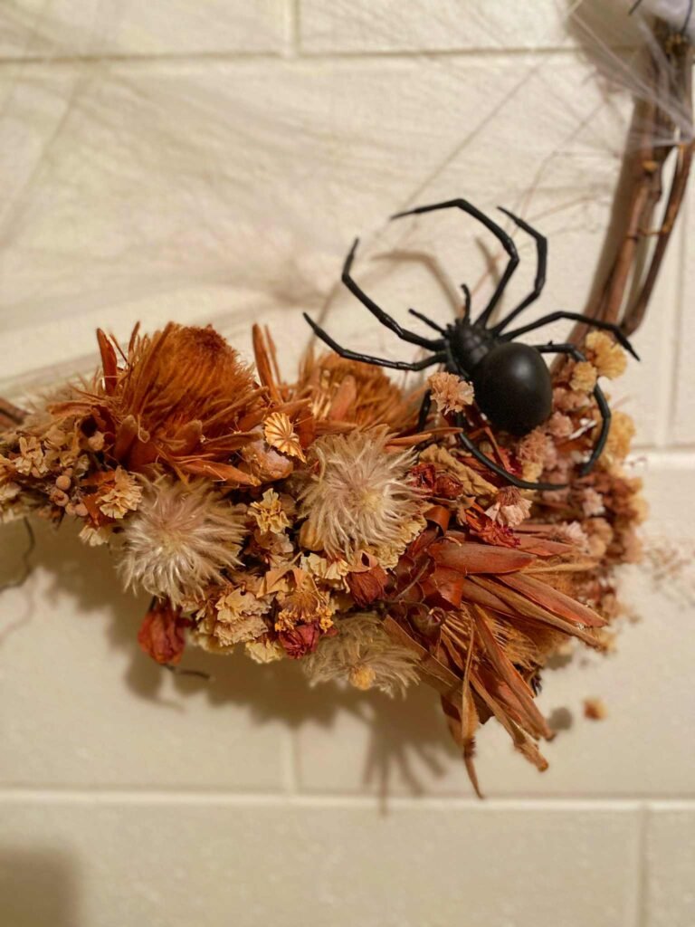 spider-on-dried-flowers